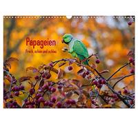 Papageien - Frech, schön und schlau (Wandkalender 2026 DIN A3 quer), CALVENDO Monatskalender: Wunderschöne Papageien in ihrem natürlichen Umfeld.