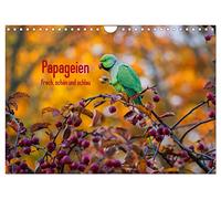 Papageien - Frech, schön und schlau (Wandkalender 2026 DIN A4 quer), CALVENDO Monatskalender: Wunderschöne Papageien in ihrem natürlichen Umfeld.