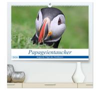 Papageientaucher 2026 - Magische Vögel des Nordmeers (hochwertiger Premium Wandkalender 2026 DIN A2 quer), Kunstdruck in Hochglanz: Portraits der magischsten Vögel, die das Nordmeer zu bieten hat