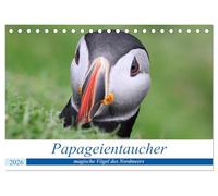 Papageientaucher 2026 - Magische Vögel des Nordmeers (Tischkalender 2026 DIN A5 quer), CALVENDO Monatskalender: Portraits der magischsten Vögel, die das Nordmeer zu bieten hat