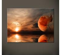 Papavero Astratto Tela Immagini Nero Bianco Rosso Arancione Moderno Artistica