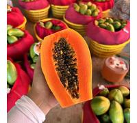 papaya giardino roccioso con balcone esotico a prova d'inverno 100semi