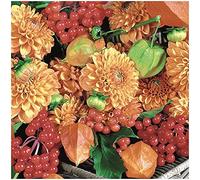 Paper+Design FSC-Mix - Asciugamano 33 x 33 cm