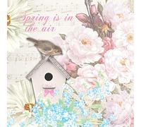 Paper+Design - Tovaglioli a forma di casetta per uccelli, dimensioni: 33 x 33 cm