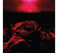 Paper Kites - Roses