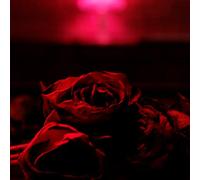 Paper Kites - Roses
