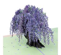 Paper Love Biglietto pop-up con glicine, biglietti di auguri pop-up 3D, per compleanno, San Valentino, festa della mamma, primavera, festa del papà, laurea, matrimonio, anniversario, ringraziamento,