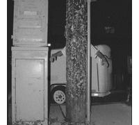 Paper Tiger All Over The Place (CD)