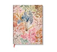 Paperblanks | Anemone | William Kilburn | Flexi a copertina morbida | Ultra | Righe | Chiusura con Fascia Elastica | 176 Pg | 100 GSM