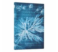 Paperblanks - Sea Flowers - Anna Atkins' Cyanotypes - Softcover Flexi - Mini - Lined - Elastic Band - 208 Pg - 80 Gsm