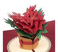 papercrush® Biglietto auguri natale pop up Poinsettia - Carta regalo natalizia 3D per donna (mamma, fidanzata, nonna), cartolina portasoldi per auguri natale, carta fatta a mano per dono di denaro