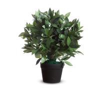 PAPERFLOW - K700134 - Pianta ornamentale - lauro - H 50cm - Paperflow - 89862 - Conf. da 1 Pz. - K700134