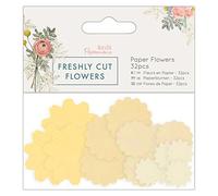 Papermania Fiori freschi recisi, Carta, Multicoloured, 10.5 x 13.5 x 0.5 cm
