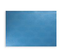 Papermat® - Confezione 12 Tovagliette all'Americana monouso 35x50 Lizard AZZURRO, FSC paper 95 grammi
