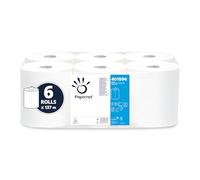 PAPERNET - Asciugamani in rotolo a devolgimento - 450 strappi - 2 veli - 19,7x30,5 cm - conf. 6 pezzi - 401596