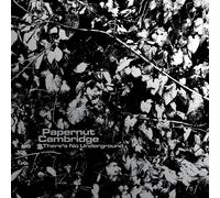 Papernut Cambridge - There's No Underground