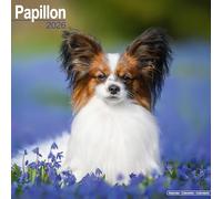 Papillon 2026 Calendar | Square Wall Calendar | Dog Breed Gift | Plastic Free Packaging | by Avonside Publishing
