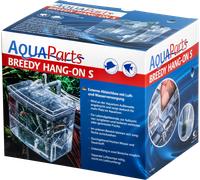 Papillon Allevatrice Hang-On Breedy - S