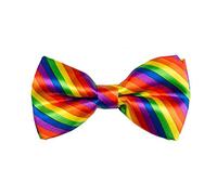 Papillon Arcobaleno Multicolor