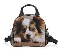 Papillon - Borsa termica per il pranzo sdraiata sulla pancia, da donna, riutilizzabile, a prova di perdite, contenitore per il pranzo di grande capacità, per lavoro, ufficio, picnic, viaggi