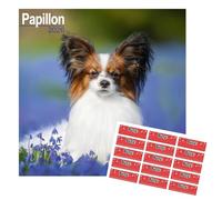 Papillon Calendar 2026 | Calendario da parete quadrato di razza di cane | 16 mesi | con adesivi organizzativi