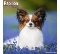 Papillon Calendar 2026 Square Dog Breed Wall Calendar - 16 Month