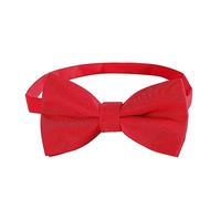 Papillon coordinato figlio con fiocco, già legato, in diversi colori, papillon per uomini bambini ragazzi, ideale per festival servizio fotografico matrimonio, Colore: rosso, Taglia unica