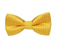 Papillon da bambino a pois formale per bambini 1 pz elegante e popolareUtile e attraente.