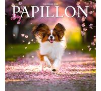 Papillon Dogs 2026 Calendar: Elegant Toy Breed and Loyal Companions