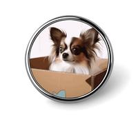 Papillon in The Box Spilla rotonda Simpatica Spilla Cappelli Giacche Decorazione Personalizzata Spilla Abbigliamento Gioielli Accessori per Festa di Nozze Regalo