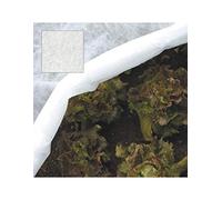 PAPILLON Telo antigelo TNT in polipropilene permeabile 2 x10 m