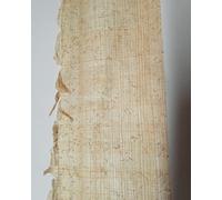 Papiro Siracusano originale: Direttamente dalla Pianta al Foglio Carta Papiro con le stesse tecniche utilizzate anche da Archimede - VERO FOGLIO DI PAPIRO MIS. (15 x 19)