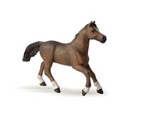 Papo -Dipinta a mano- figurina-Cavalli, puledri e pony-Cavalla anglo-araba-51075-Collezione -Adatto a bambini e bambine - A partire dai 3 anni di età