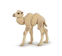 Papo -Dipinta a mano- figurina-Fauna Selvatica -Cammello-50221-Collezione -Adatto a bambini e bambine - A partire dai 3 anni di età