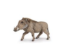 PAPO -Dipinta a mano- figurina-Fauna Selvatica -Facocero-50180-Collezione -Adatto a bambini e bambine - A partire dai 3 anni di età