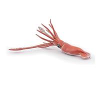 Papo – Figurina da collezione Calamaro gigante – Universo marino – 3+ anni