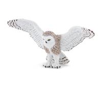 PAPO flying owl