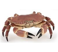 Papo - Granchio realistico - Statuetta marina educativa - 3 anni - Mondo marino - Dipinta a mano - Stimola l'immaginazione - 8 cm x 7,5 cm x 2,5 cm - Giocattolo educativo - Idea regalo