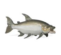 Papo - Pesce Tigre Golia - Figura di Pesce Realistica - 5,5 cm