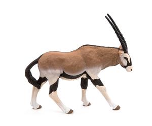 PAPO Selvatico Regno Animale Orice Antelope Figura Giocattolo Tre Anni O Sopra (
