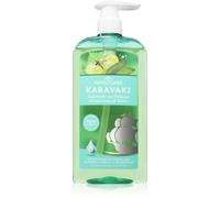 PAPOUTSANIS Karavaki Control & Detox shampoo per il cuoio capelluto secco e grasso 600 ml