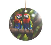 Pappagalli colorati su albero stampa idee regalo di nozze per coppie, un ornamento per albero di Natale in acrilico appena sposato