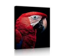 pappagallo tela di canapa arte della parete uccello esotico ritratto immagini opere d'arte stampe colorato fauna selvatica poster pittura elegante per l'arredamento dell'aula 75x100cm telaio interno