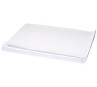 Papstar 12555 - Set da tavola in Carta, 30 x 40 cm, 250 Pezzi, Colore: Bianco