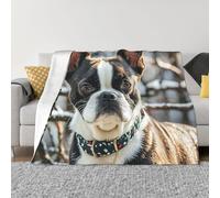 PAQOLSMCKR Coperta da letto 127 x 101,6 cm, bella coperta in flanella Boston Terrier per divano, reversibile, morbida e accogliente, per divano, campeggio, tutte le stagioni