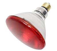 Philips - IR175R PAR38 E27 230 V 1CT/12
