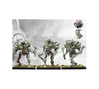 Para Bellum Wargames Incarnate Sentinels