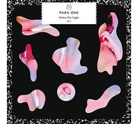 Para One - When The Night