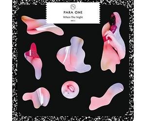 Para One - When The Night