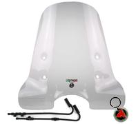 Parabrezza Biondi completo di attacchi per Kymco People 50 2003 2004 2005